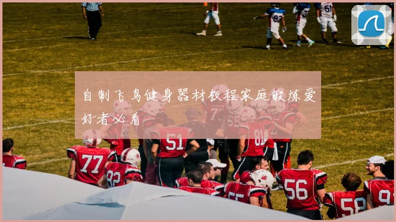 自制飞鸟健身器材教程家庭锻炼爱好者必看