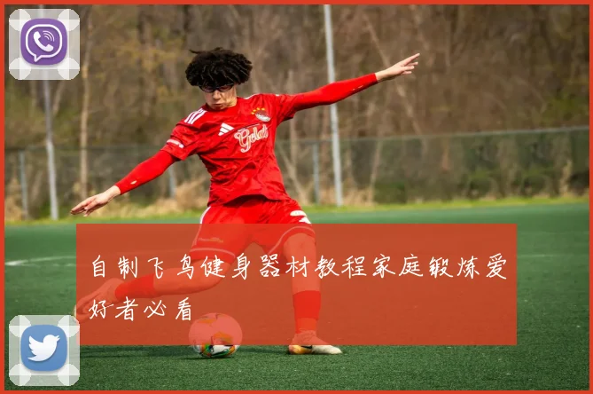 自制飞鸟健身器材教程家庭锻炼爱好者必看